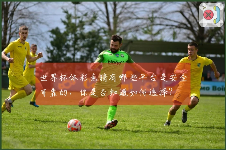世界杯体彩竞猜有哪些平台是安全可靠的，你是否知道如何选择？