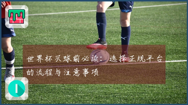 世界杯买球前必读：选择正规平台的流程与注意事项