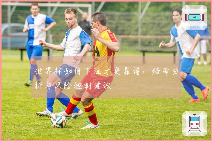 世界杯如何下注才更靠谱,赔率分析与风险控制建议